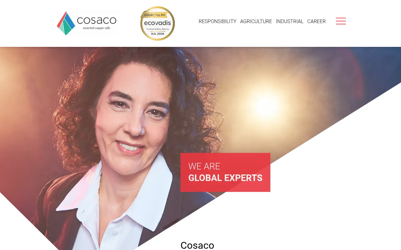 Screenshot of cosaco.com