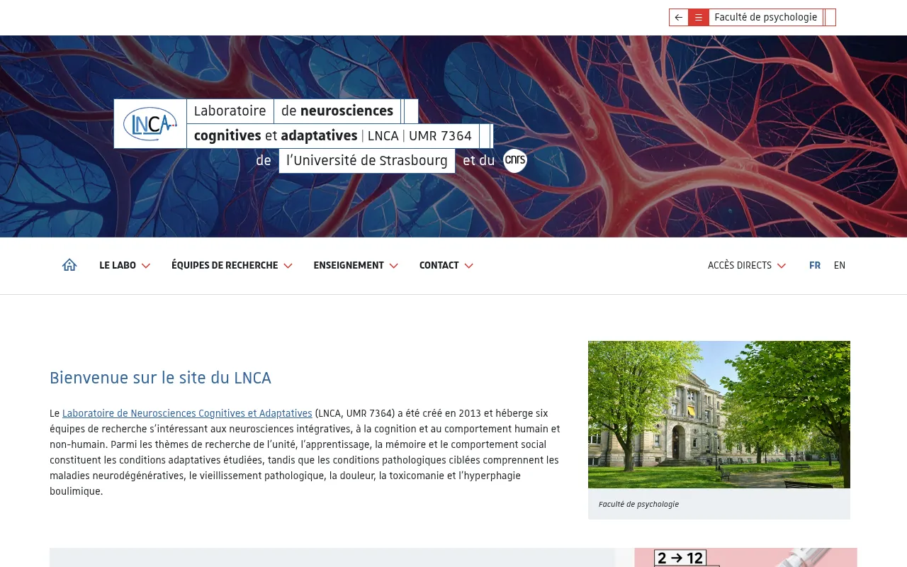 Screenshot of lnca.unistra.fr
