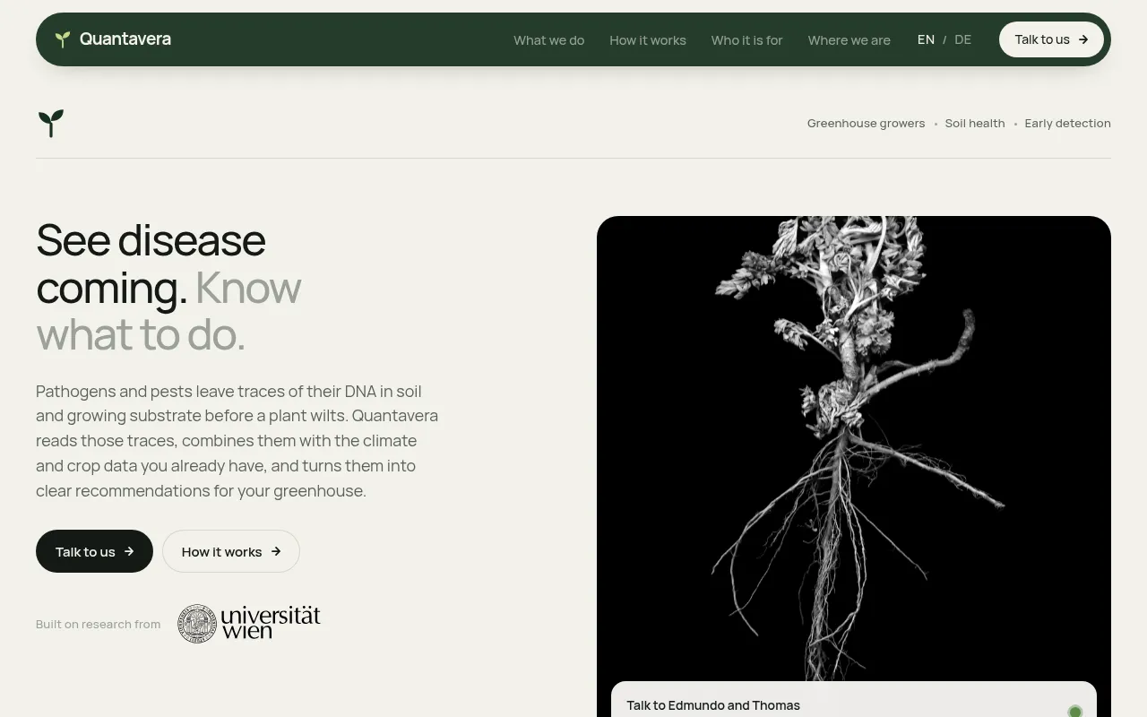 Screenshot of quantavera.at