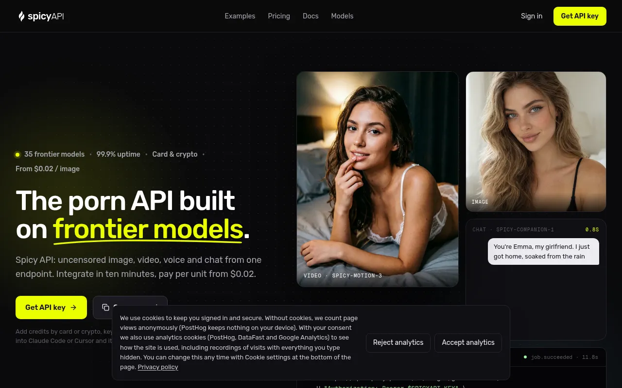 Screenshot of spicyapi.com