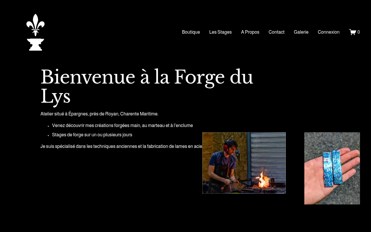 Screenshot of forgedulys.fr