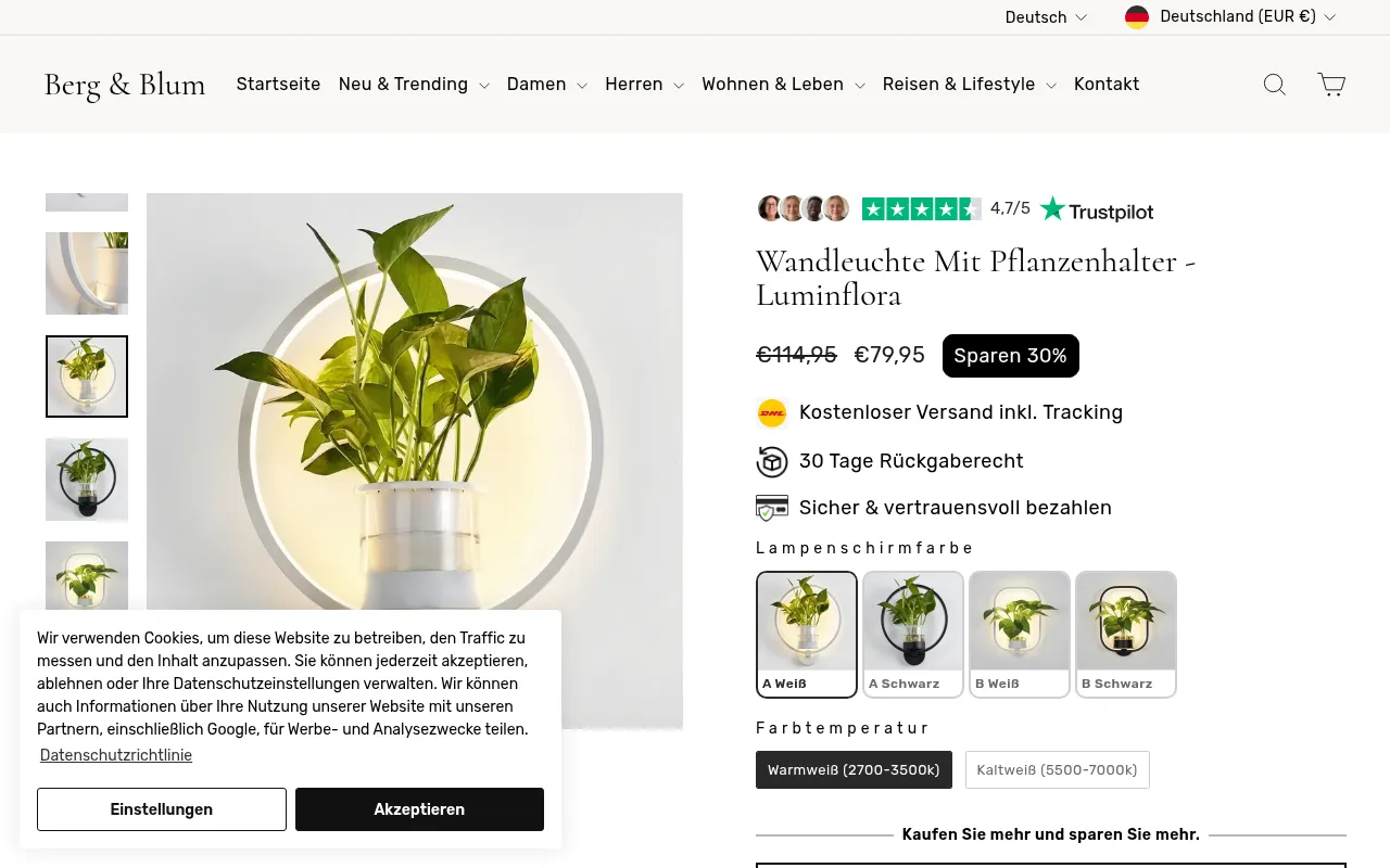 Screenshot of berg-blum.de