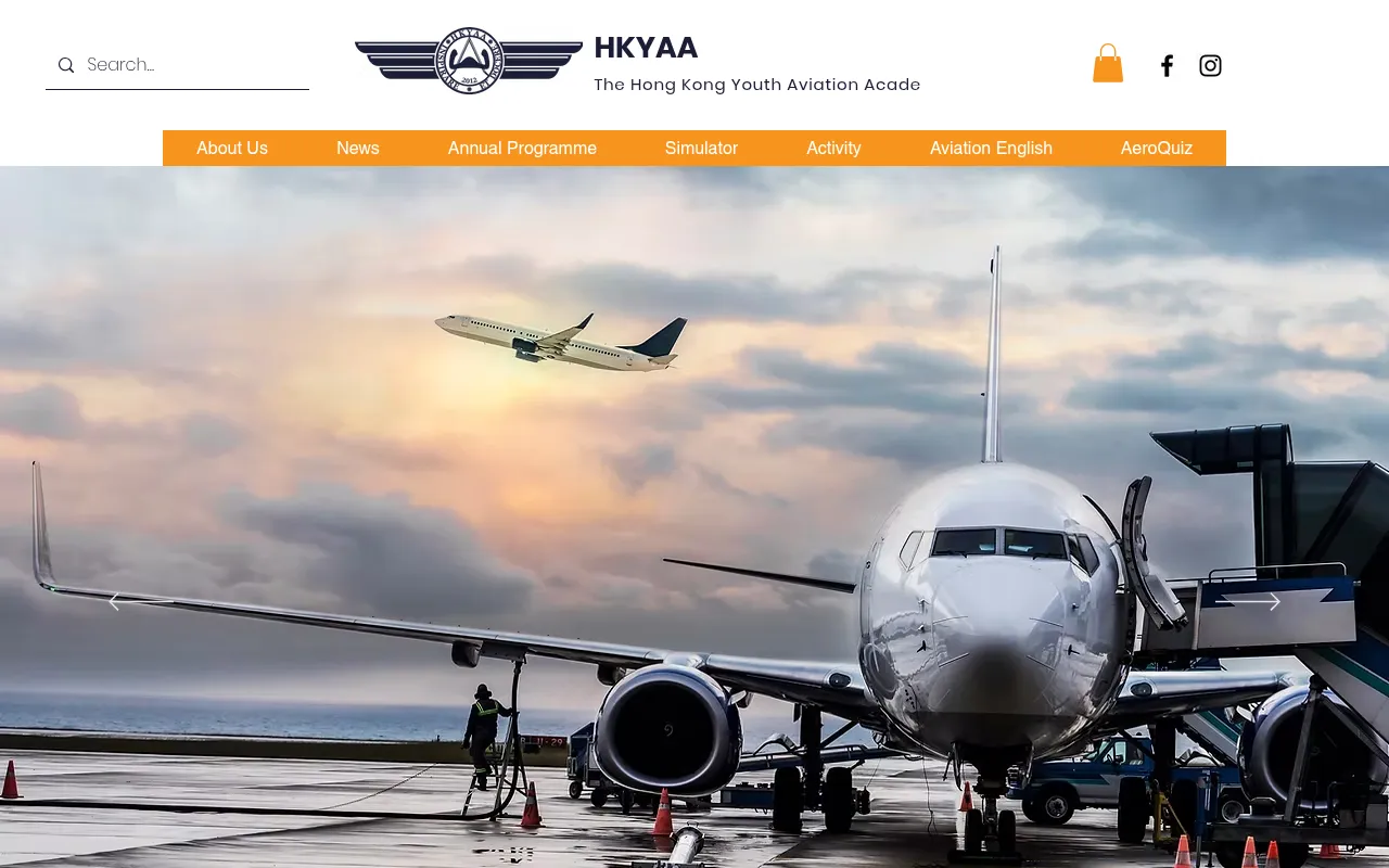 Screenshot of hkyaa.hk