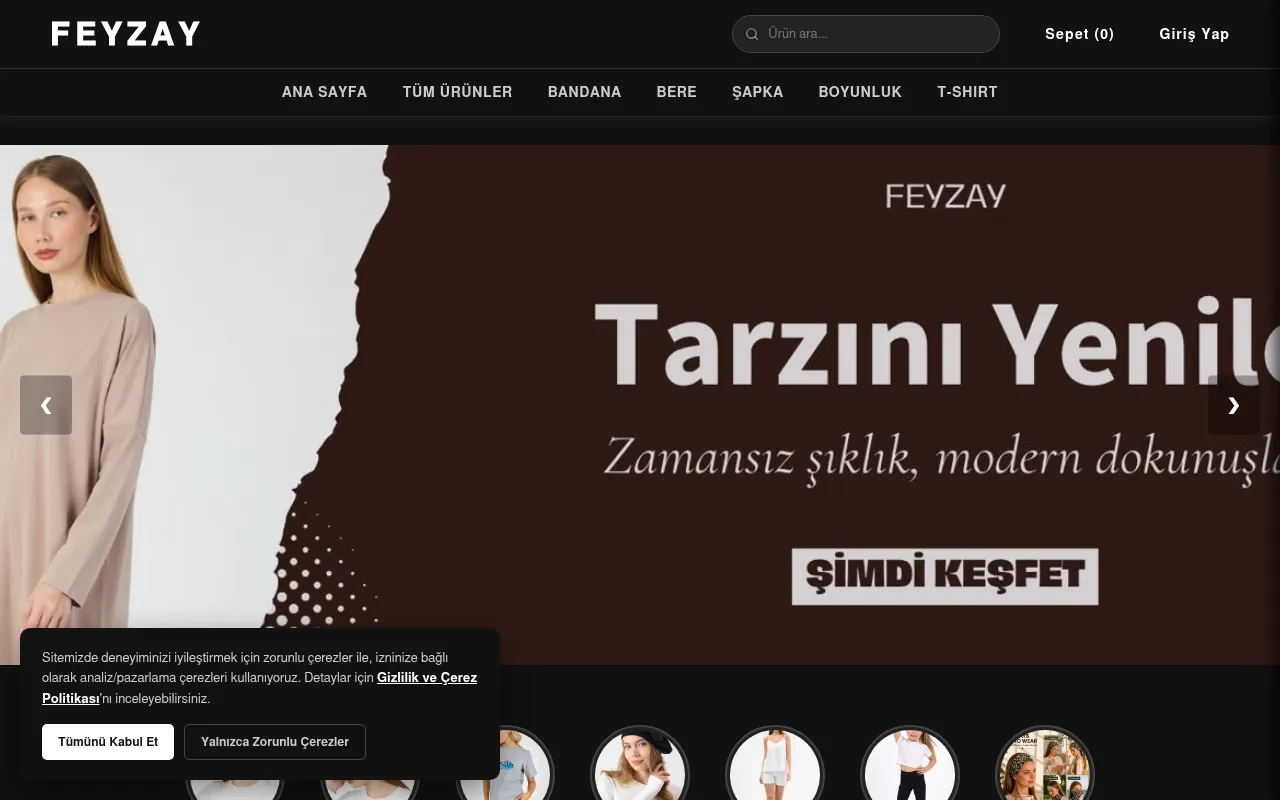 Screenshot of feyzay.com