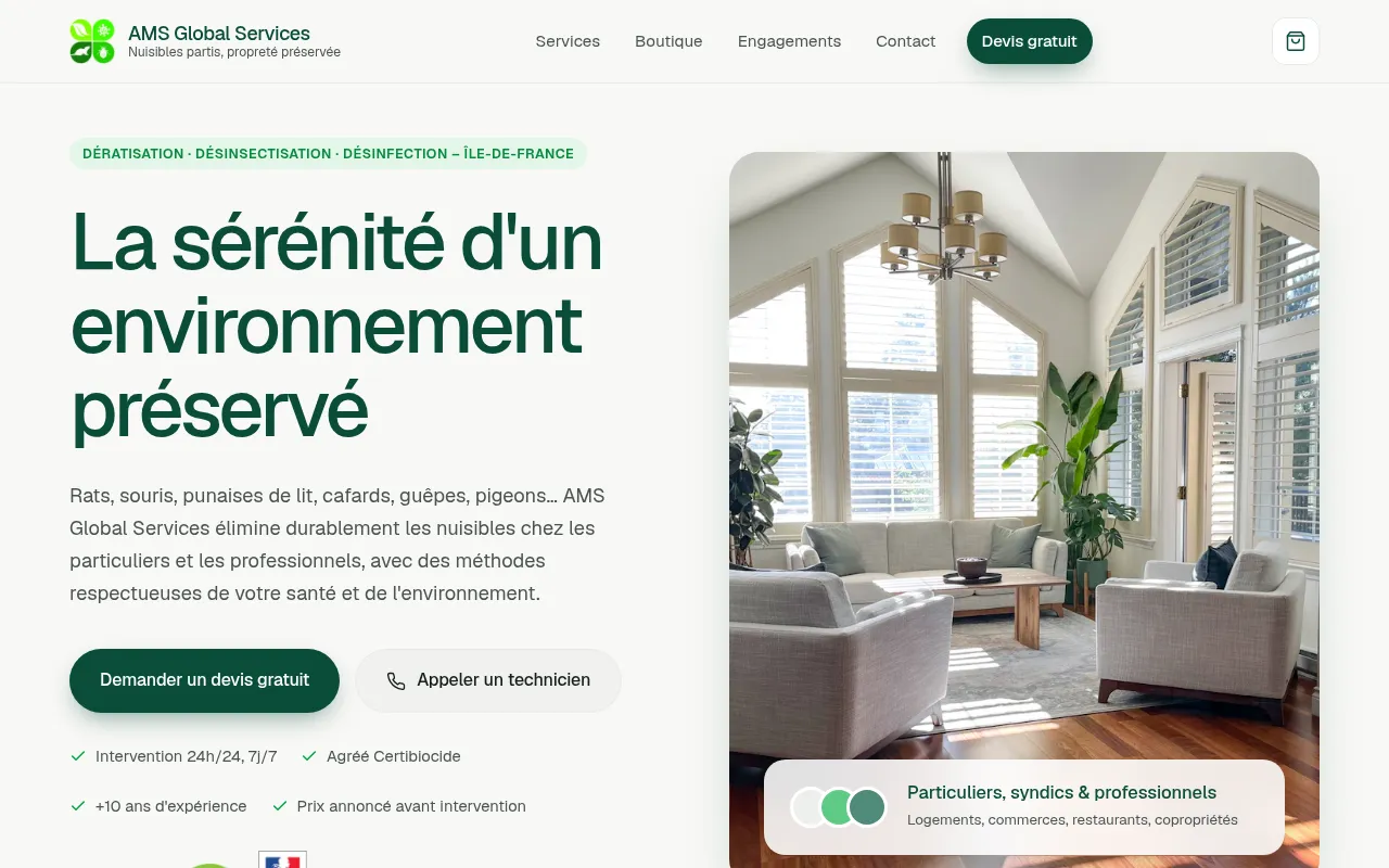 Screenshot of ams-globalservices.com