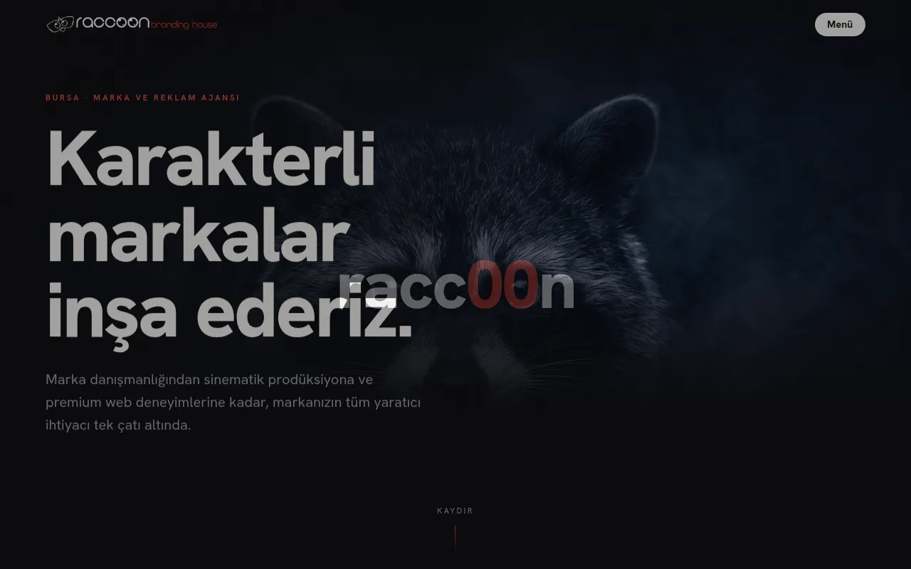 Screenshot of racc00n.com