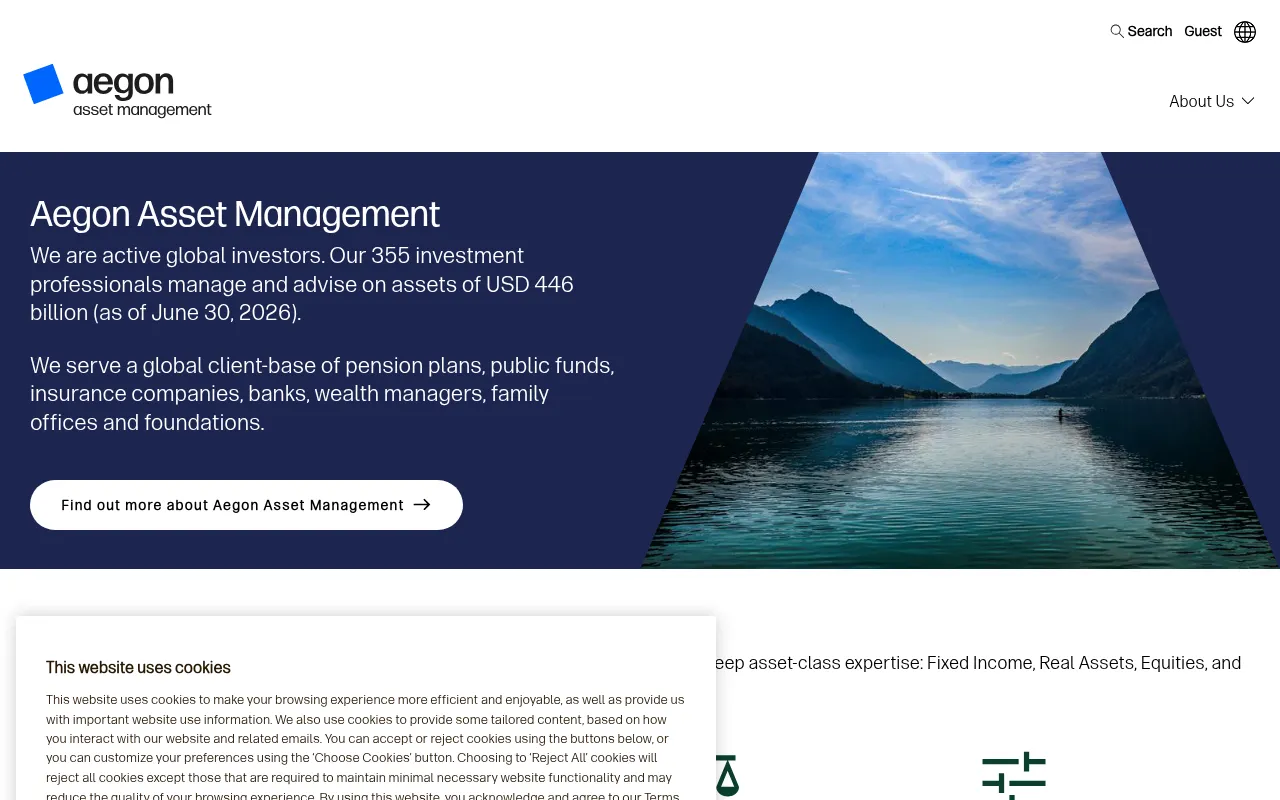 Screenshot of aegonam.com