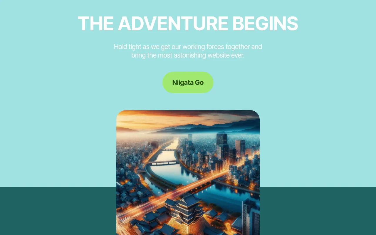 Screenshot of niigatago.com