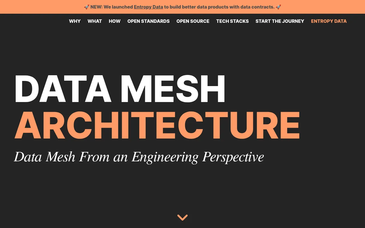 Screenshot of datamesh-architecture.com