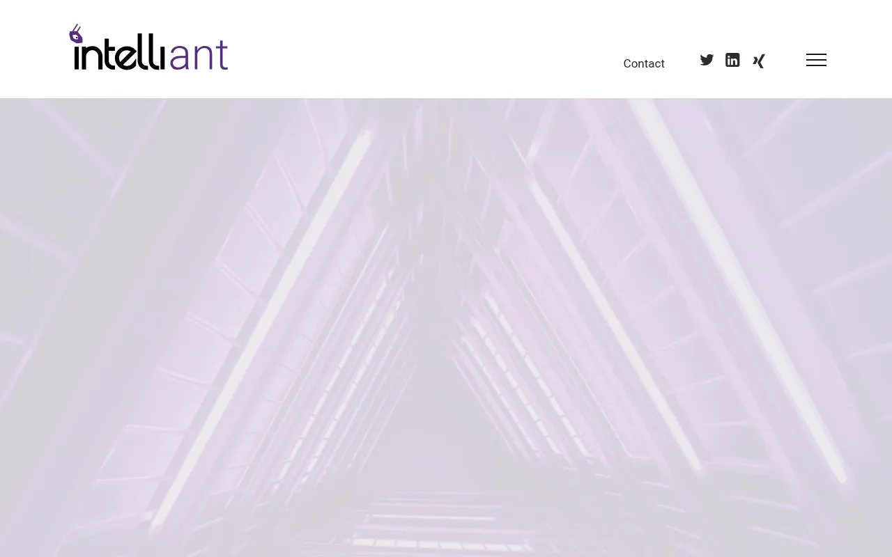 Screenshot of intelliant.de